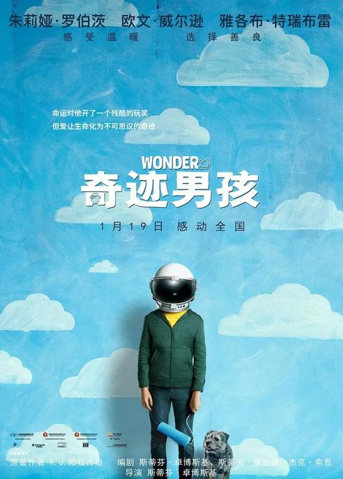 一比一仿香港护照扫描件